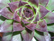 DSCN2757.JPG
