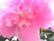 DSCN2758.JPG