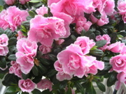DSCN2759.JPG