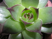 DSCN2760.JPG