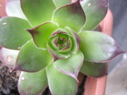 DSCN2761.JPG