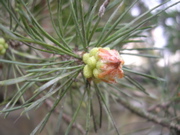 DSCN2874.JPG