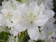 DSCN2876.JPG