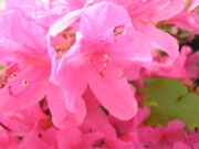 DSCN2877.JPG