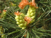 DSCN2880.JPG