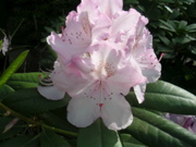 DSCN2884.JPG