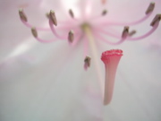 DSCN2885.JPG