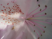 DSCN2886.JPG