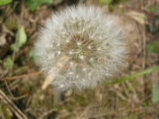DSCN2888.JPG