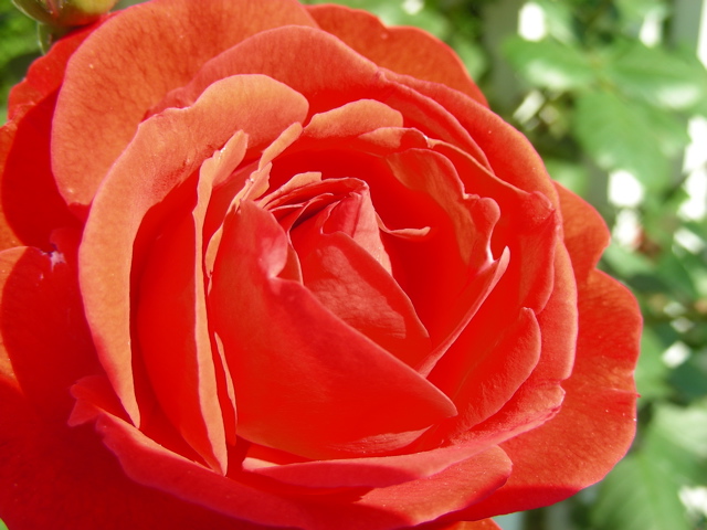 DSCN9670.JPG