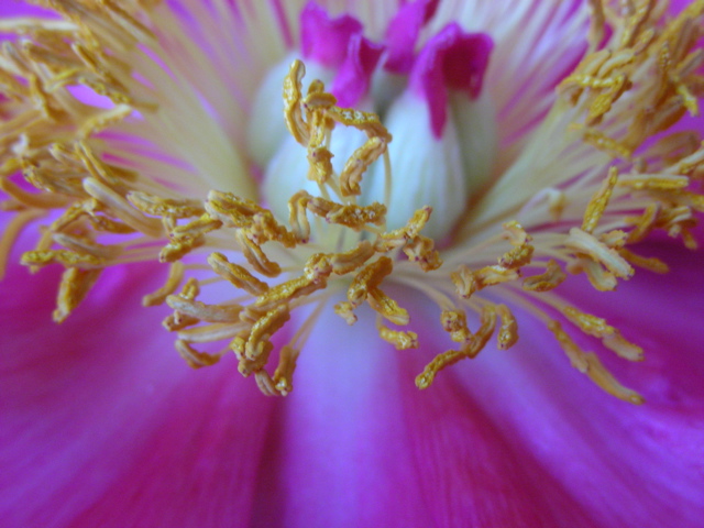 DSCN9689.JPG