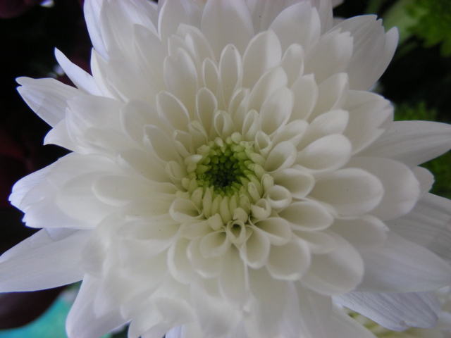 DSCN9733.JPG