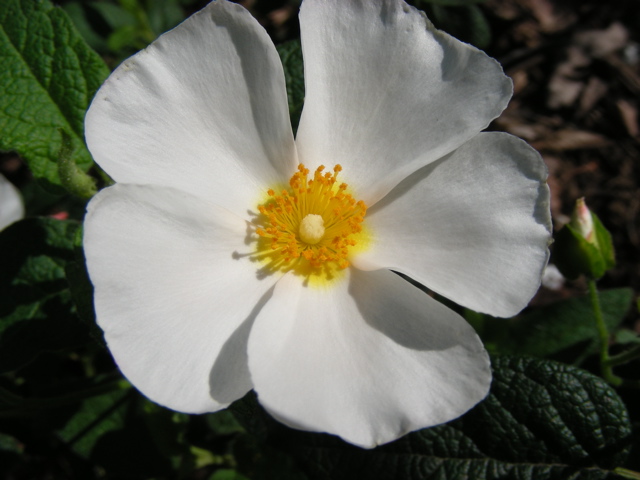 DSCN9653.JPG