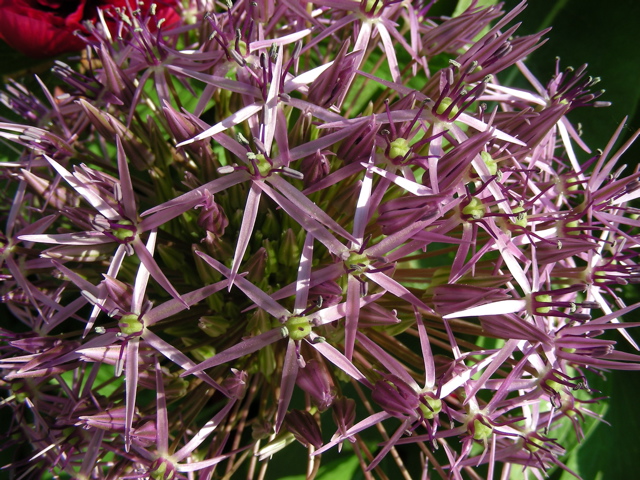 DSCN9659.JPG
