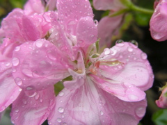DSCN9754.JPG