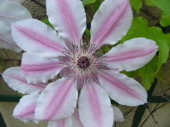 DSCN9651.JPG