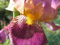 DSCN9663.JPG