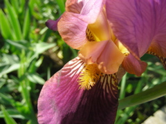 DSCN9664.JPG