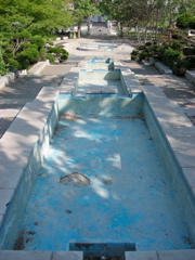 DSCN9665.JPG