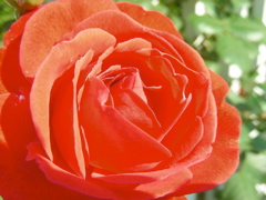 DSCN9670.JPG