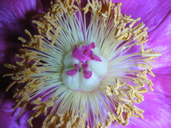 DSCN9686.JPG