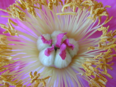DSCN9687.JPG