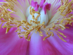 DSCN9689.JPG
