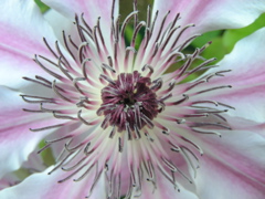 DSCN9652.JPG