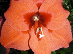 DSCN9714.JPG