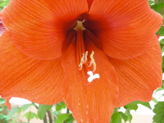 DSCN9715.JPG