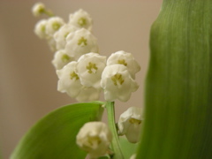 DSCN9718.JPG