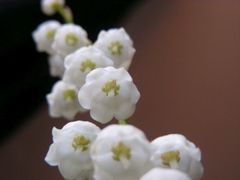 DSCN9722.JPG