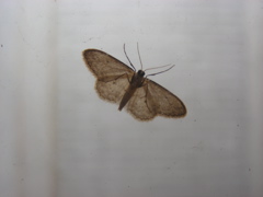 DSCN9729.JPG