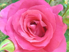 DSCN9654.JPG