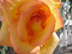 DSCN9657.JPG