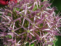 DSCN9659.JPG