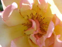 DSCN9662.JPG