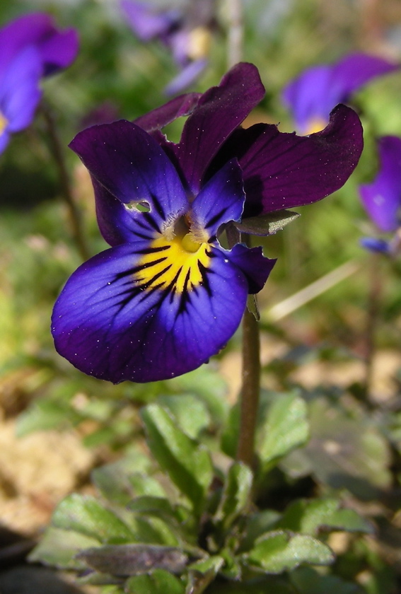 DSCN9201.JPG