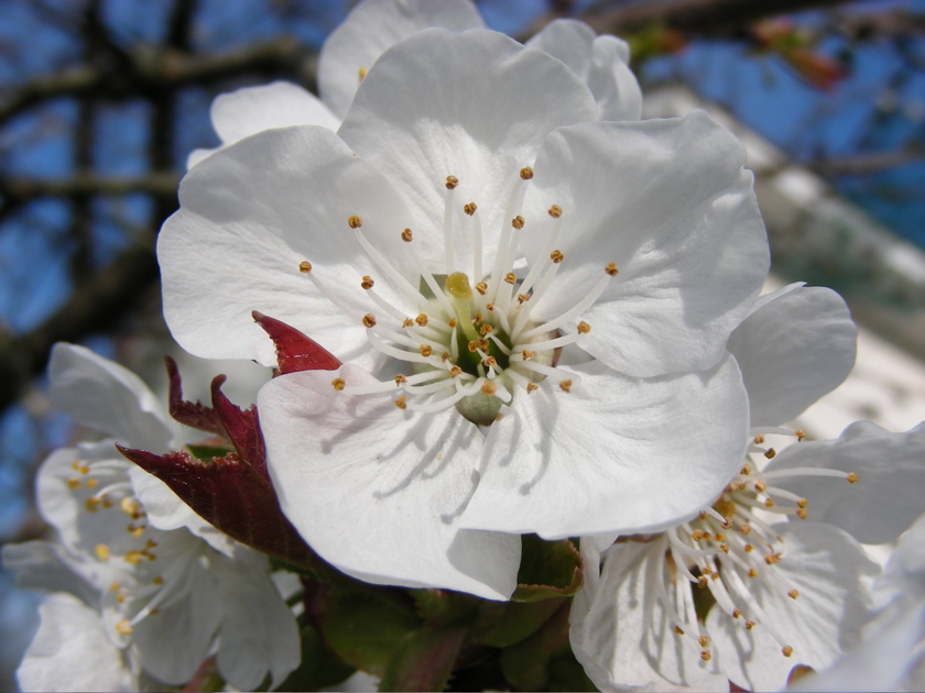 DSCN9202.JPG
