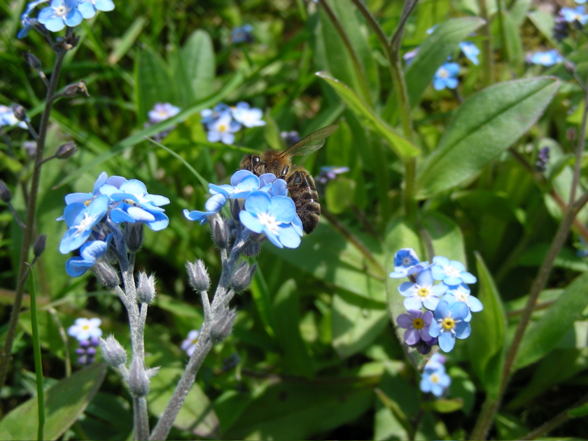DSCN9171.JPG
