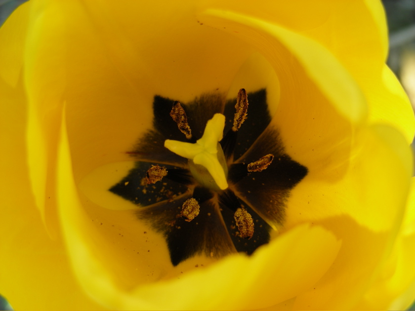 DSCN9253.JPG