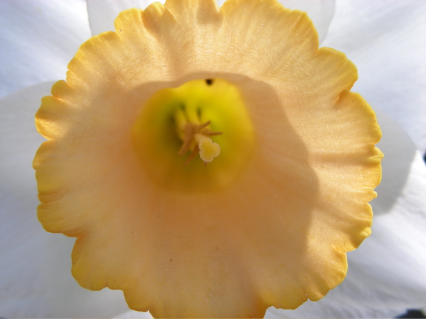 DSCN9176.JPG