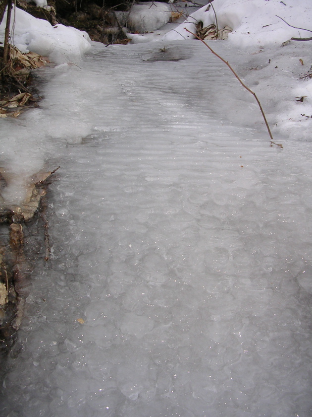 DSCN2528.JPG