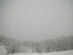 Puy Saint Vincent - 2007 - 1