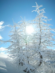 Puy Saint Vincent - 2007 - 17
