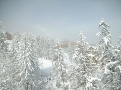 Puy Saint Vincent - 2007 - 20