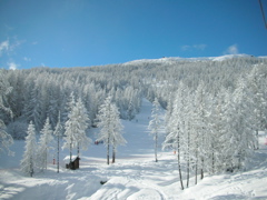 Puy Saint Vincent - 2007 - 22