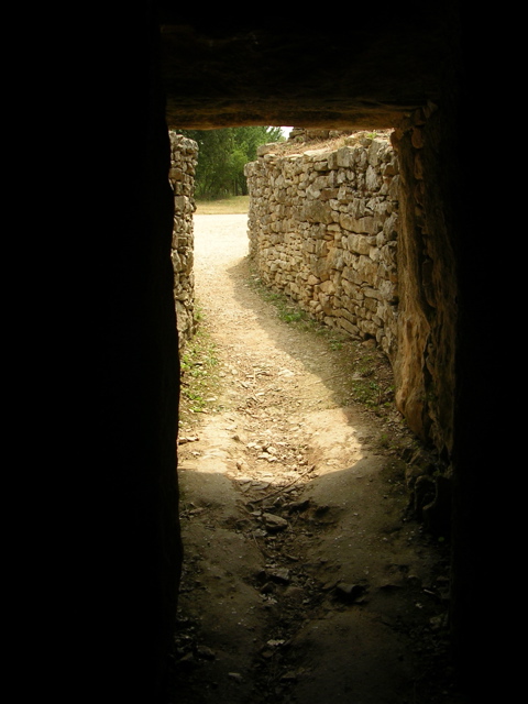 DSCN6591.JPG
