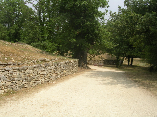 DSCN6592.JPG