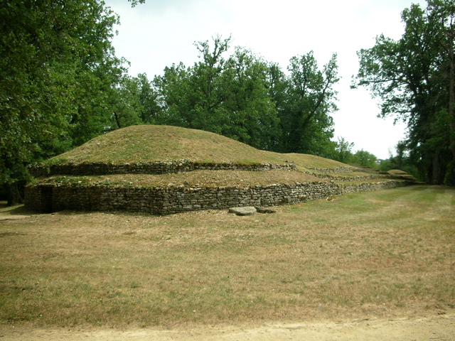 DSCN0265.JPG